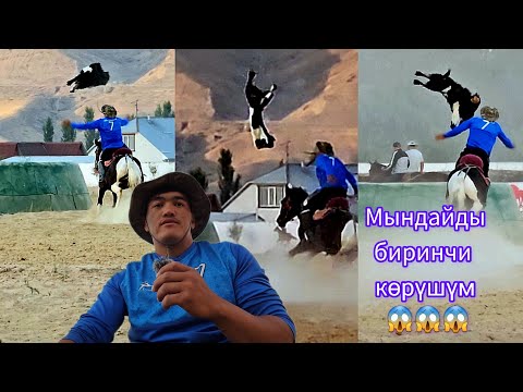 Видео: Улакты асманга ыргыткан Илимбек балбан 💪💪💪