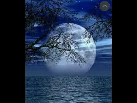 Видео: Не плачь,когда меня не станет.слова-Т.Шашева.музыка-С.Кузнецов.