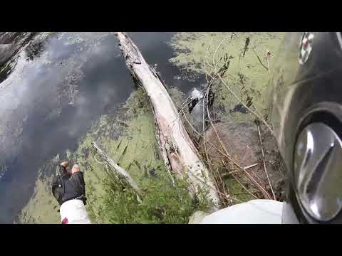 Видео: Ендуріком по берегам Росі