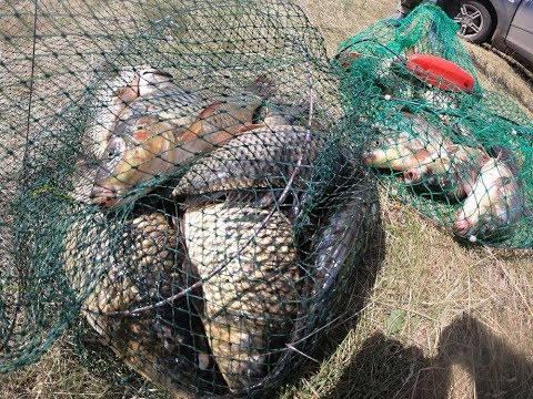 Видео: В тишине (оз. Треустан)