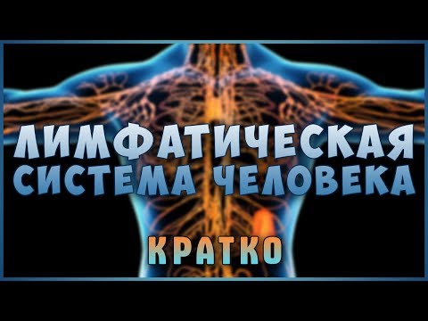 Видео: Застой и Очистка Лимфы! Знай и живи. Лимфатическая система! Лимфоузлы. Фролов Ю.А.