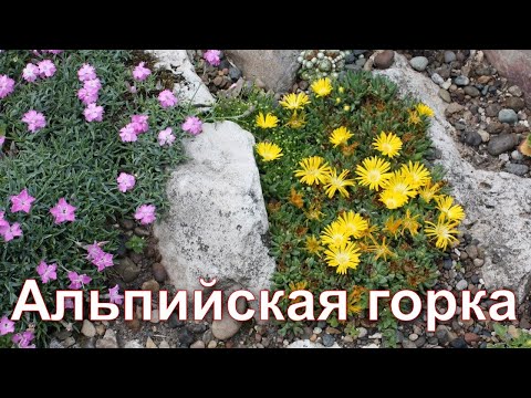 Видео: Альпийская горка