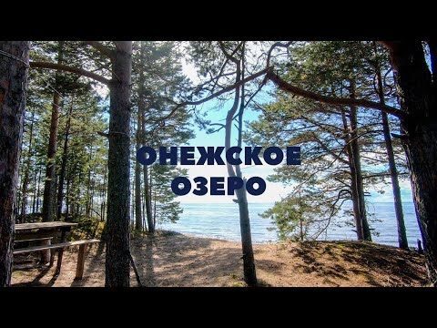 Видео: ОНЕЖСКОЕ ОЗЕРО: Неделя в Вологодской Карелии