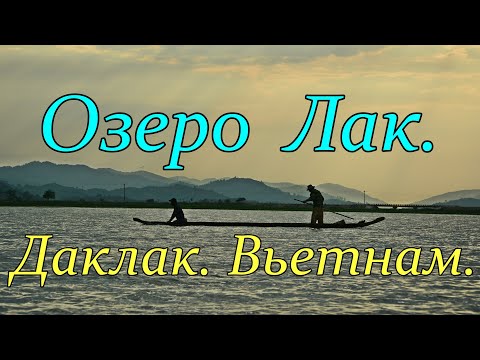 Видео: На слонах через озеро Лак. Мнонги. Даклак. Вьетнам.//Elephant ride across Lake Lac. Daklak. Vietnam.