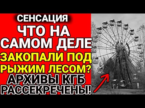 Видео: Что на самом деле увидели ликвидаторы под рыжим лесом? Ответ вас уничтожит!