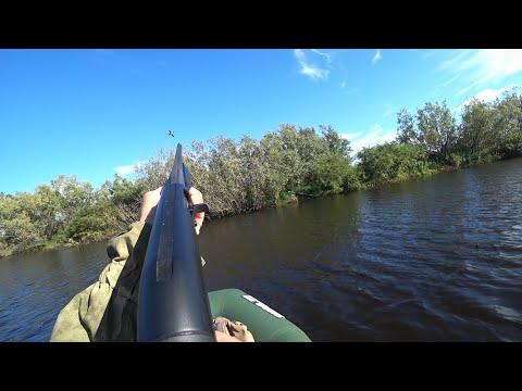 Видео: Охота на утку с ЛОДКИ. Гребу на веслах по озеру и стреляю на лету. Ружье Franchi Affinity One.