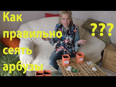 Видео: Арбузы и дыни на рассаду