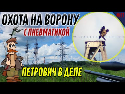 Видео: Охота на  Ворону и Чаек № 21. Первый выезд с Петровичем. Crow Hunting 2023. Кроухантинг. Jack Hunter