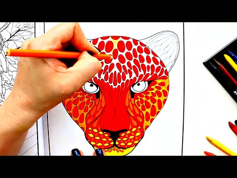 Видео: Раскраски Антистресс рисунок Огненный Тигр раскрашиваем вместе | Раскрашивание онлайн