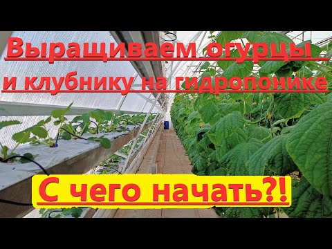 Видео: Переходим на гидропонику  С чего начать?!