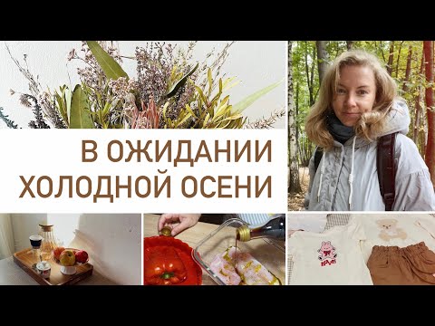 Видео: Будни мамы🧣☔️☕️ Покупки для комфортной осени и для дома, о планировании меню и уютный вечер на кухне