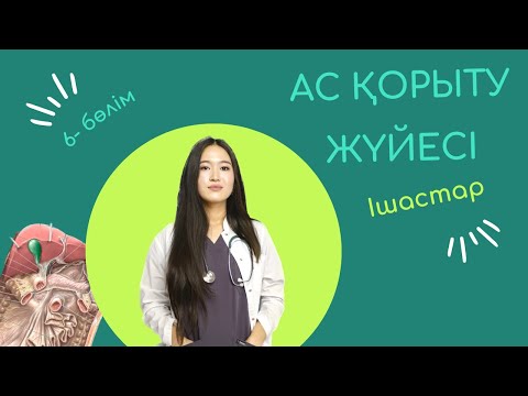 Видео: Ас қорыту жүйесі| ІШАСТАР