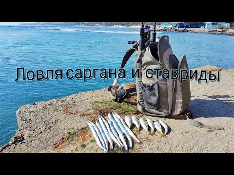 Видео: Ловля саргана на пилькер и ставриды на силиконовые приманки в Черноморске