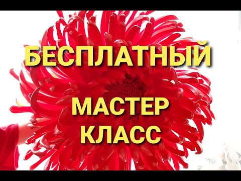 Видео: ХРИЗАНТЕМА ИЗ ИЗОЛОНА 70 СМ/ МАСТЕР КЛАСС/ ЦВЕТЫ ИЗ ИЗОЛОНА/ БЕСПЛАТНЫЙ МАСТЕР КЛАСС/СЕМЬЯ ИЗ САМАРЫ