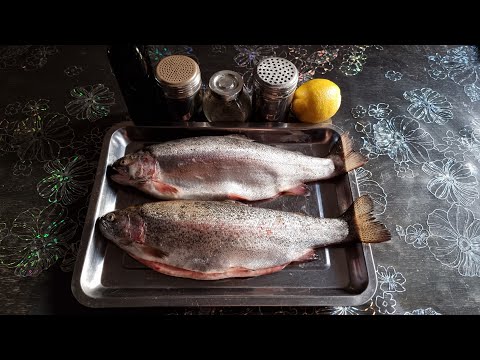 Видео: ФОРЕЛЬ ЗАСОЛКА ЦЕЛИКОМ! Выпуск №1127