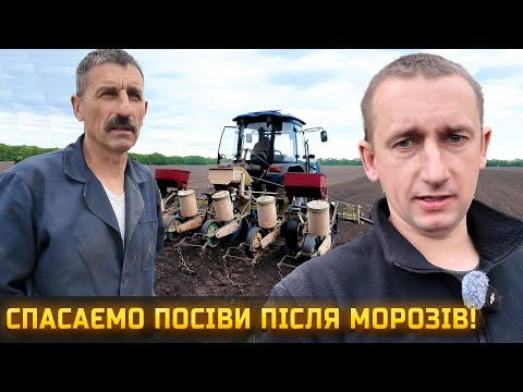 Видео: 🇺🇦 Не просто на землі трудитись. Пересів, бризкання, підживлення — виживає сильніший!