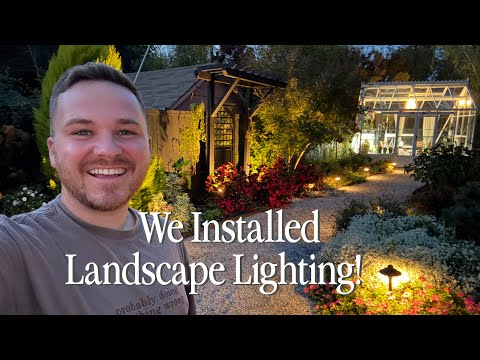 Видео: Добавляем ночное волшебство в сад || Посетите наш сад