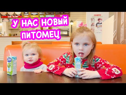 Видео: влог: КУПИЛИ НОВОГО ПИТОМЦА! У ВРАЧА С ДОЧКАМИ