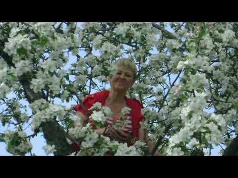 Видео: Молодость