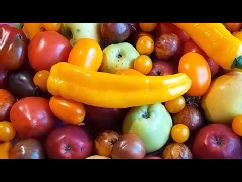 Видео: Каталог семян томатов,перцев и др.овощей на 2023год.Цены в описании. Часть 1.