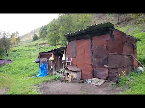 Видео: Упадок сибирской деревни возле Байкала