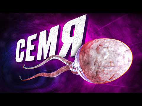 Видео: Каждому МУЖЧИНЕ нужно это знать про свое СЕМЯ