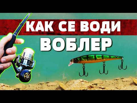 Видео: КАК СЕ ВОДИ ВОБЛЕР? Видове воблери / Риболов за начинаещи