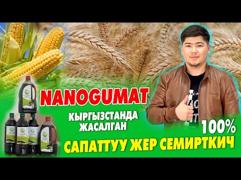 Видео: ЖЕР СЕМИРТКИЧ эми КЫРГЫЗСТАНДАН чыга БАШТАДЫ ~ NanoGumat ӨСҮМДҮККӨ, МАЛ-ЖАНДЫККА да КОЛДОНСО болот