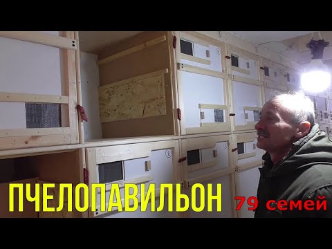 Видео: Пчелопавильон из нового материала / 79 семей / (Светлячок).