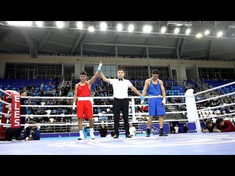 Видео: Семейде бокстан ел чемпионаты өтіп жатыр