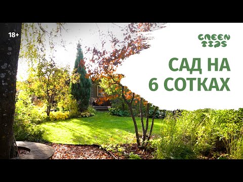 Видео: Красивый сад на 6 сотках. Обзор сада