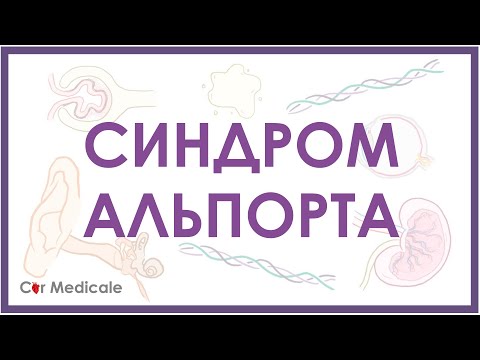 Видео: Синдром Альпорта - механизм развития, причины, клинические проявления