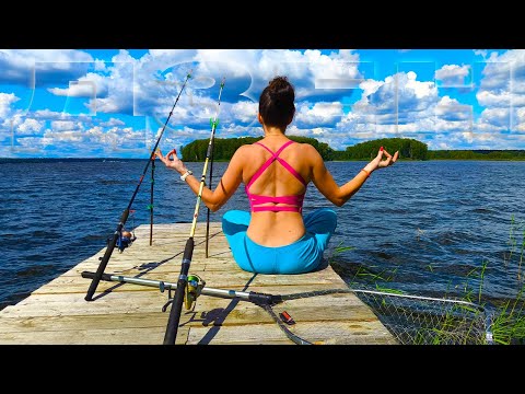 Видео: ИСКАЛИ НОВЫЕ МЕСТА для отдыха, НО ВСЕ РАВНО вернулись в БЕРЕЗКИ. Любимый уголок в ПЕСТОВСКОМ вдхр.