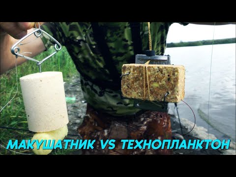 Видео: МАКУШАТНИК VS ТЕХНОПЛАНКТОН. БЫЛИ ДАЖЕ ДУПЛЕТЫ!! #макушатник #жмыховка #сазан #карп #белыйамур