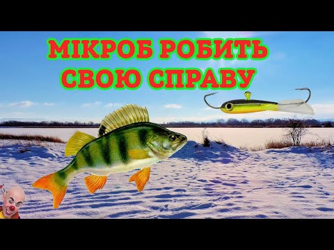 Видео: ⚡ БАЛАНСИР-МІКРОБ РОЗРДРАТУЄ САМОГО ПАСИВНОГО ОКУНЯ ⚡