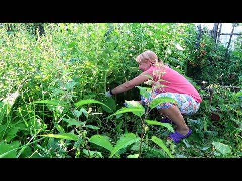 Видео: Купили ЗАБРОШЕННУЮ ДАЧУ. Что сделали за 2 года?