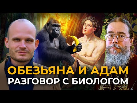 Видео: Обезьяна и Адам. Разговор с Биологом.