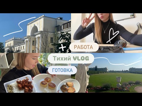 Видео: ТИХИЙ VLOG / Как я справляюсь с рутиной 