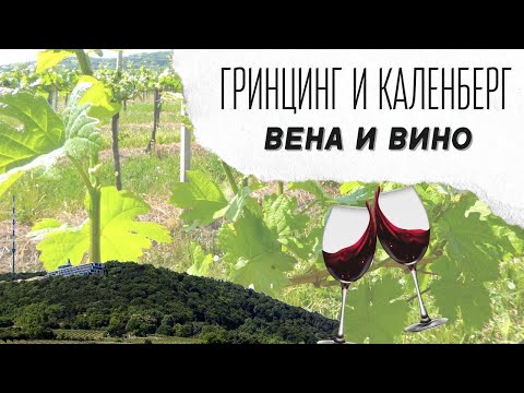 Видео: Винная экскурсия в Австрии |  Винный тур | История Гринцинг и Каленберг