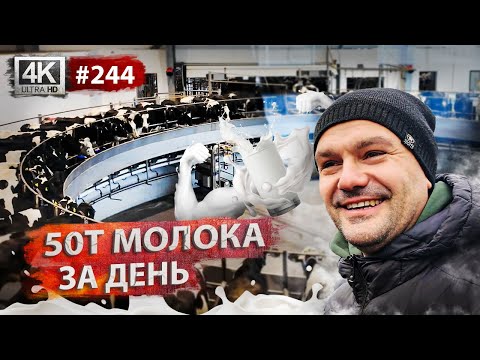 Видео: Розіграш газонокосарки🌱Необхідні ризики⚡️Право власності на землю