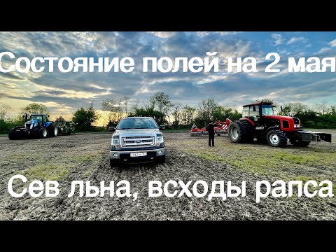 Видео: Состояние полей на 02.05.2020 Сев льна сеялкой Amazon DMC. Всходы рапс, инстектицидная обработка