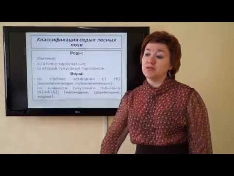 Видео: Кураченко Н.Л. Почвы лесостепной зоны