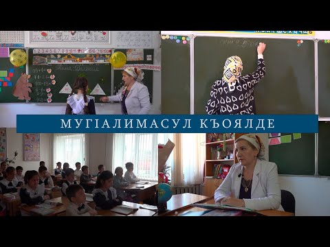 Видео: Мактабалъул къебелъухъ | МугIалимасул къоялде.