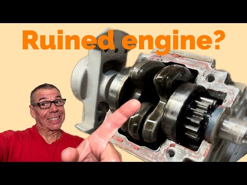 Видео: Клиент РАЗОРВАЛ годовалую воздуходувку STIHL BR 700 / Будьте внимательны к мелочам