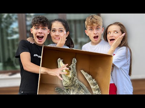 Видео: ПОЗНАЙ КАКВО ИМА В КУТИЯТА CHALLENGE!