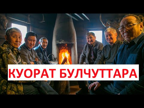 Видео: КУОРАТ БУЛЧУТТАРА