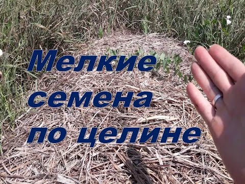 Видео: Как посеять мелкие семена по целине