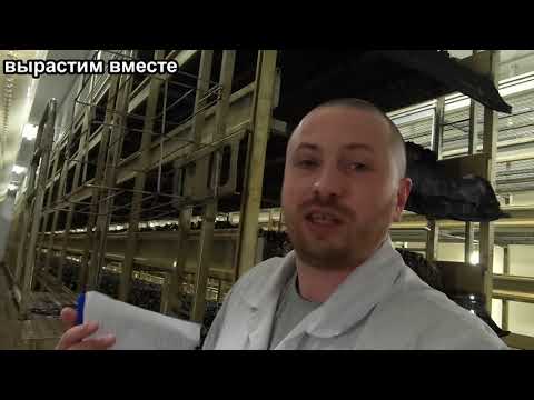 Видео: Микроклимат для второй волны шампиньонов.Как получить больше поколений грибов.