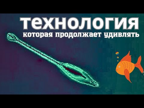 Видео: Поплавок  который не перестает удивлять