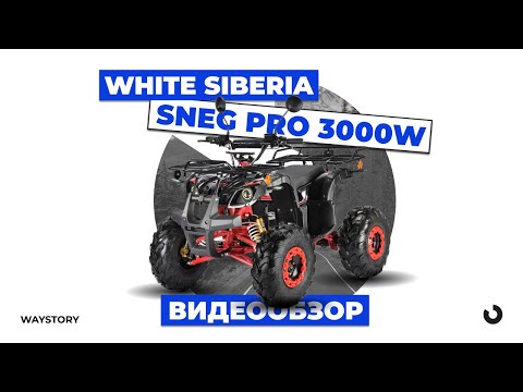 Видео: ЭЛЕКТРОКВАДРОЦИКЛ WHITE SIBERIA SNEG PRO 3000W | Обзор | WAYSTORY | Технологии Будущего